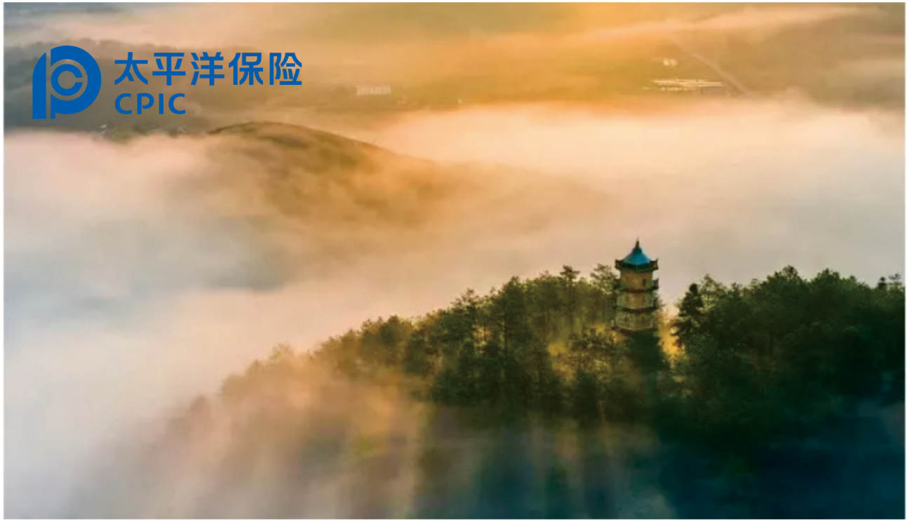 再也不用问别人“驾乘意外险该买哪种”